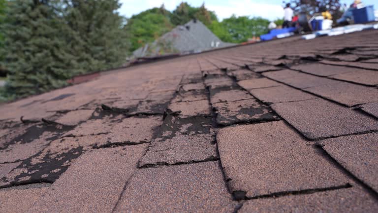 Best Storm Damage Roof Repair  in Piqua, OH